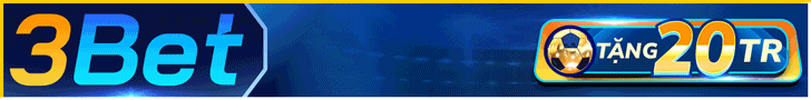 Banner 1