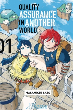Quality Assurance in Another World